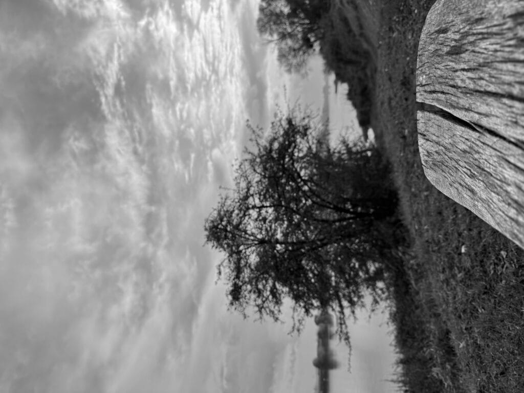 View of a riverside with the end of a wooden bench in the foreground, then grass and shrubs, the river, the opposite bank and the sky. The image was turned by 90 degrees. Say the bench would be a surfboard and the landscape the wave.