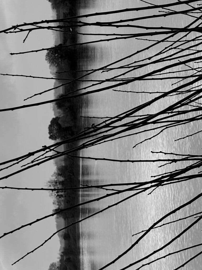 View of a river and its bank taken from the opposite bank, with dark branches in the foreground, standing out against the background of the lighter river. The image has been rotated by 90 degrees: the branches are horizontal and make a sort of stripe pattern on the river.