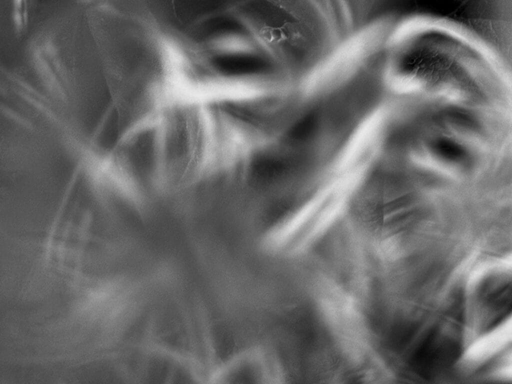 Al premær plan des herbes flouz clær qui font des genres de volutes, sur fond de feuilles sombres.
