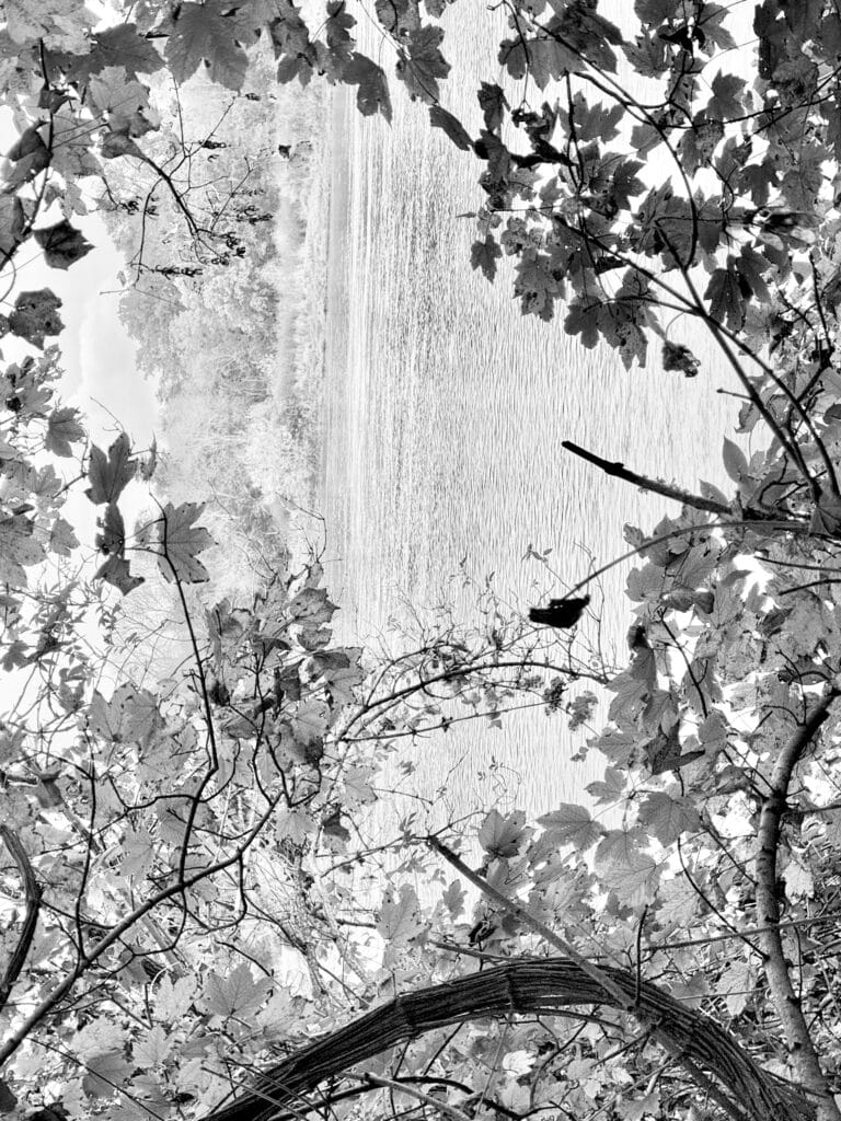 View of a river through a hole in the foliage. A Dutch Golden Age style composition.