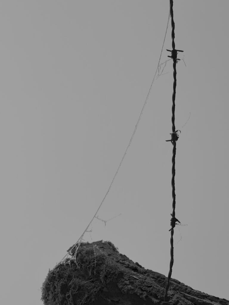 Fence post, its barbed wire and a frozen spider's web thread. The image has been rotated by 90 degrees so the fence post is almost horizontal, the barbed wire is vertical and the thread connects the stern of the post at the bottom to the barbed wire at the top.