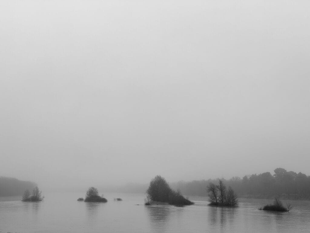 View of a river in the mist of a grey winter.