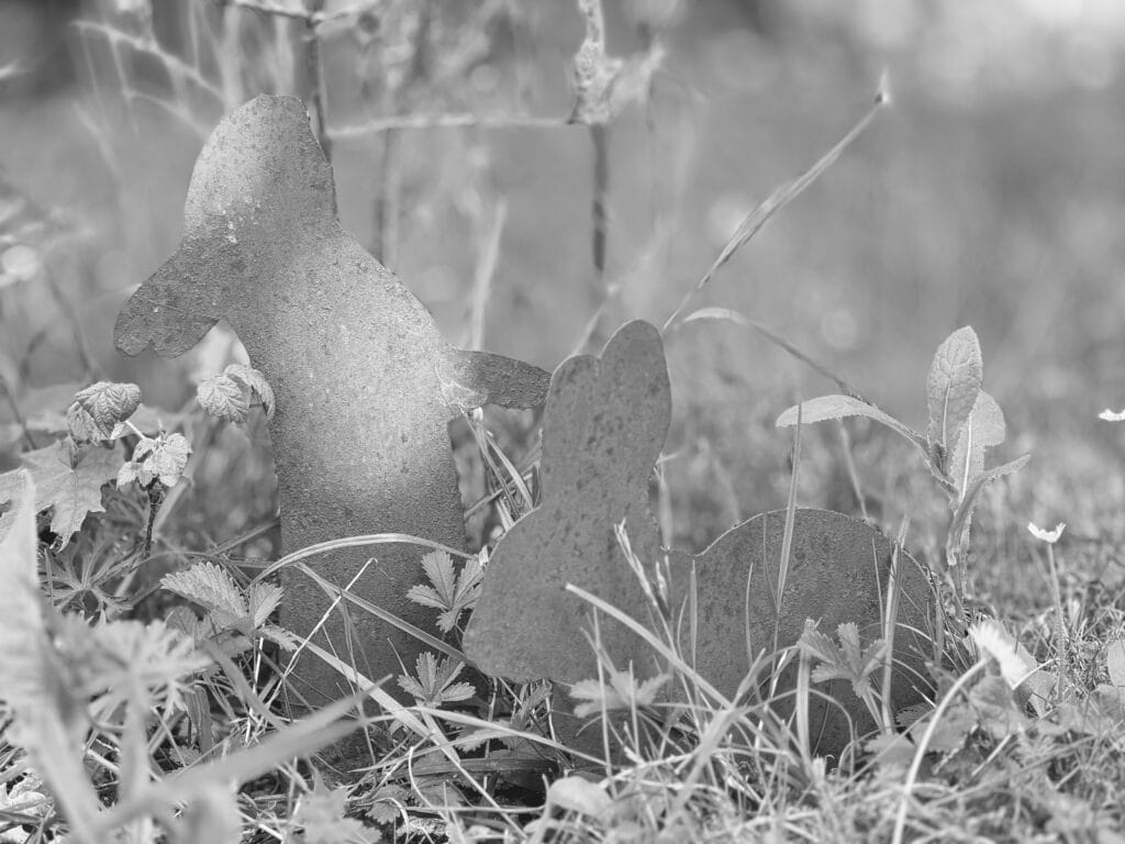 Two rabbits made of metal adorn the garden.