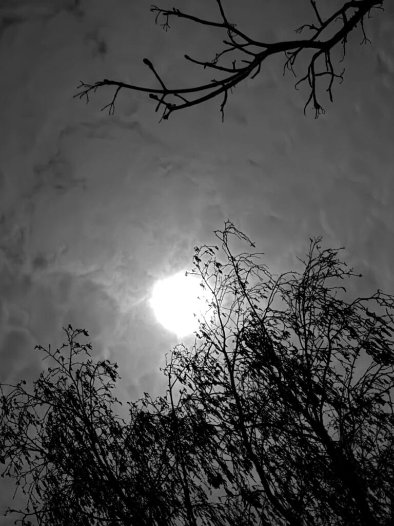 Plæn lune dans æn ciel nuageux. Læ cadre de l’image est bordæ par des branches d’arbres dénudæs.