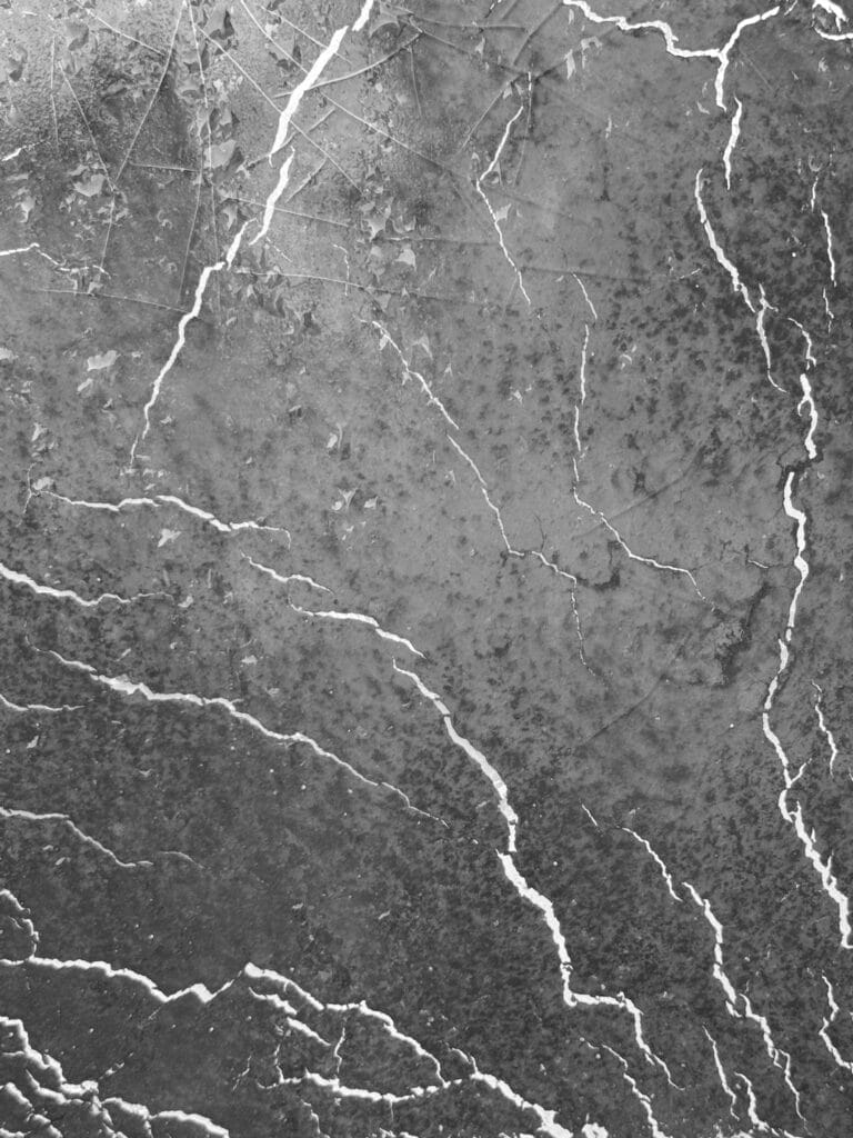 Grox plan sur æn surface craquelæ de nature indéterminæ.