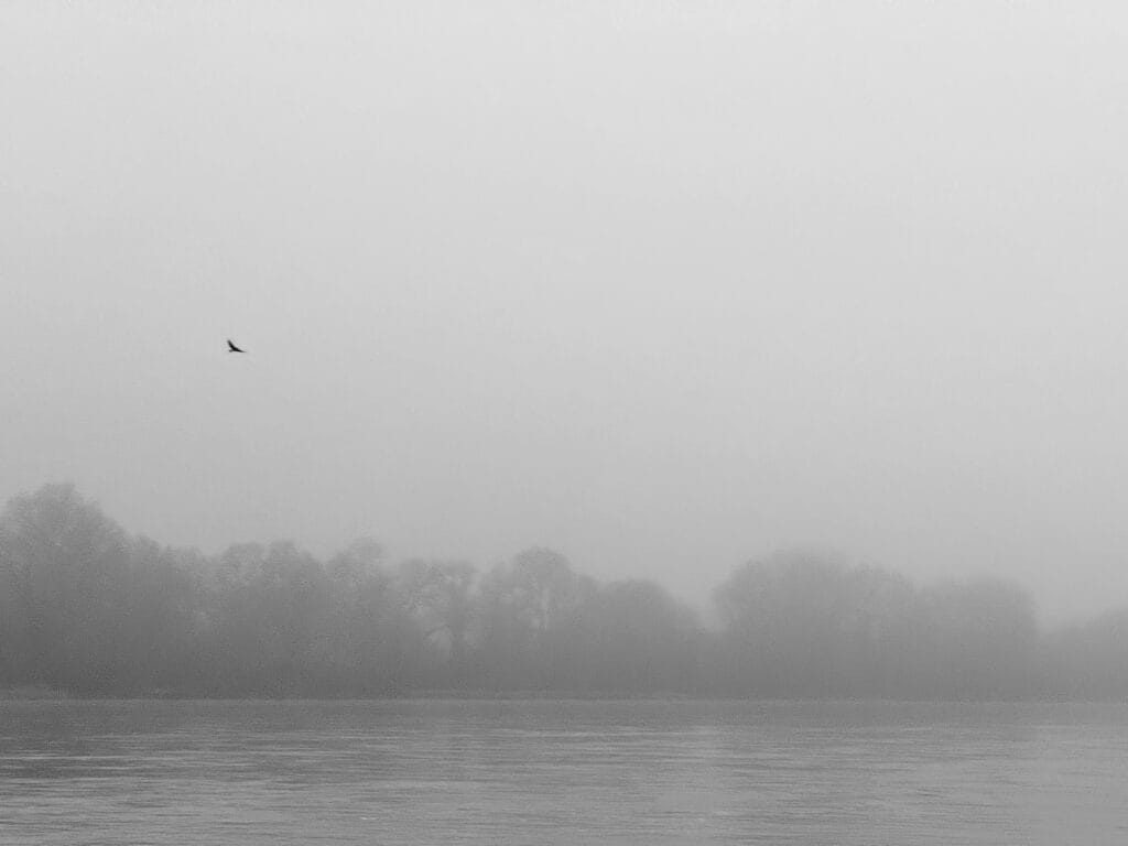 Wide shot of a river and its bank in thick mist. A bird, very small in the image, flies into the distance.
