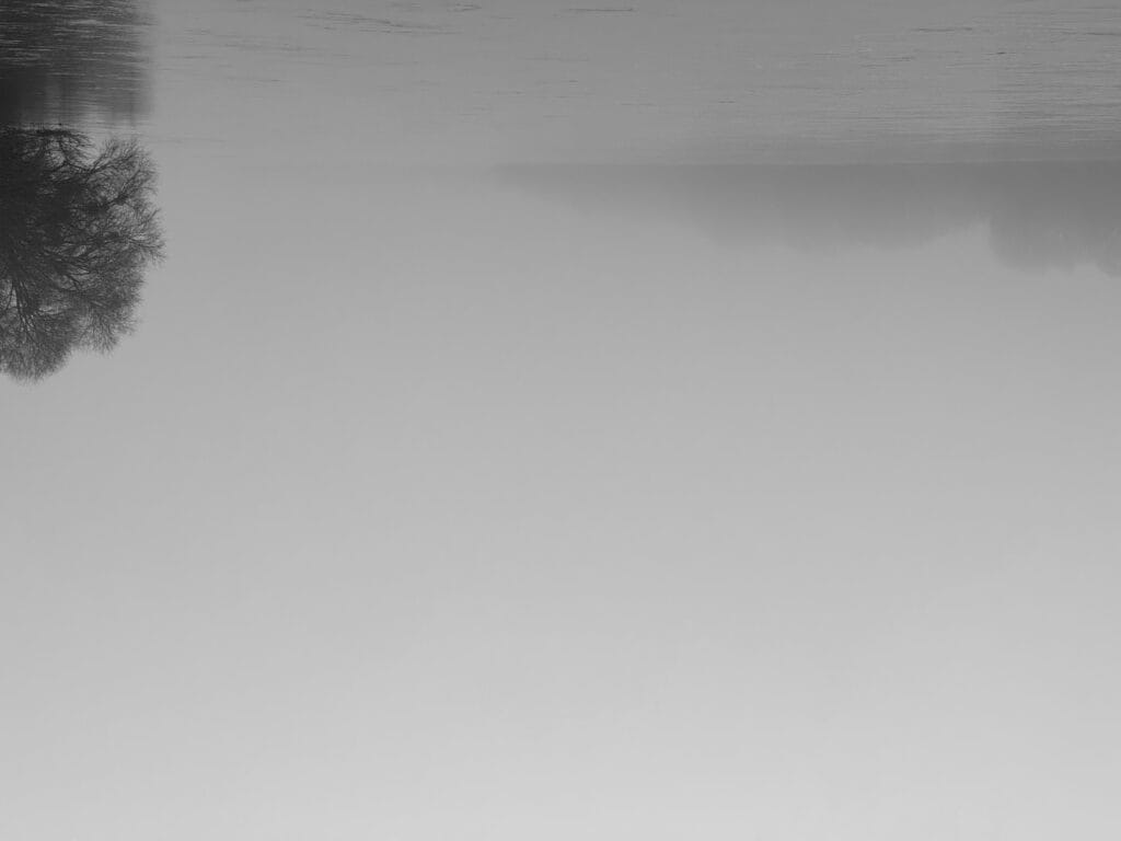 A view of an island in the middle of a river, shrouded in thick mist.