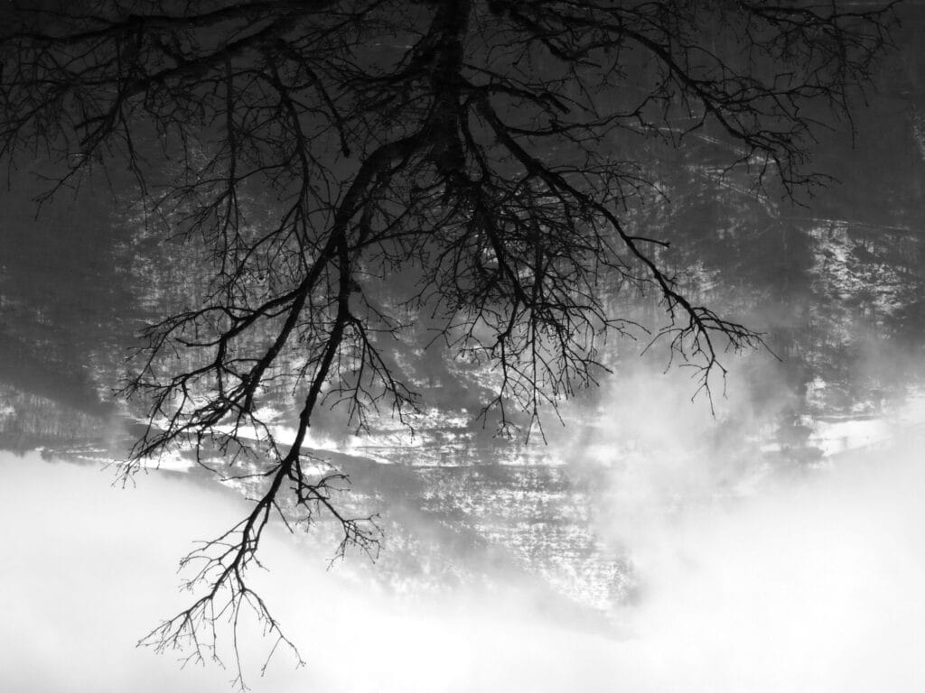 A high view of the Stone-Mount covered in snow and mist, with a beautiful, bare, dark tree in the foreground.