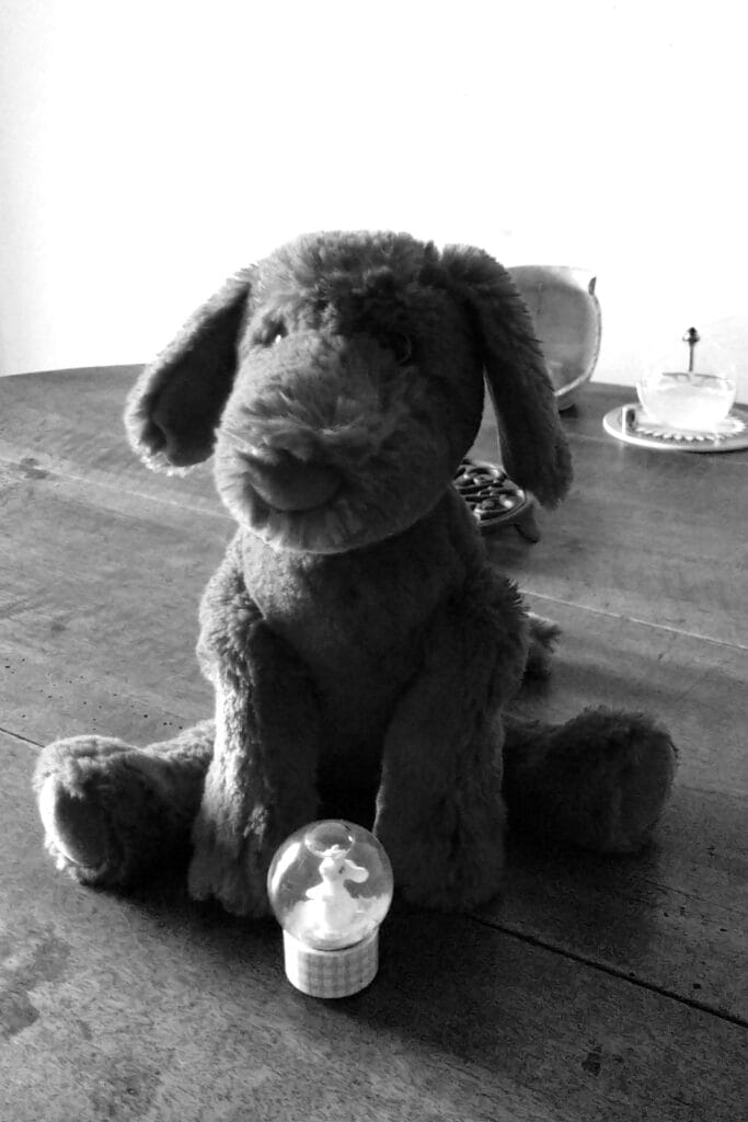 Plush dog and snow globe on kitchen table.