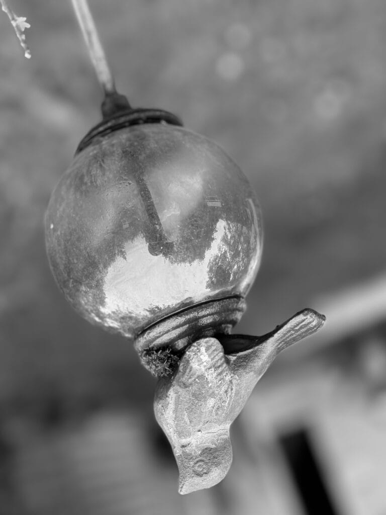 Bird-shaped garden decoration. The image is upside down.
