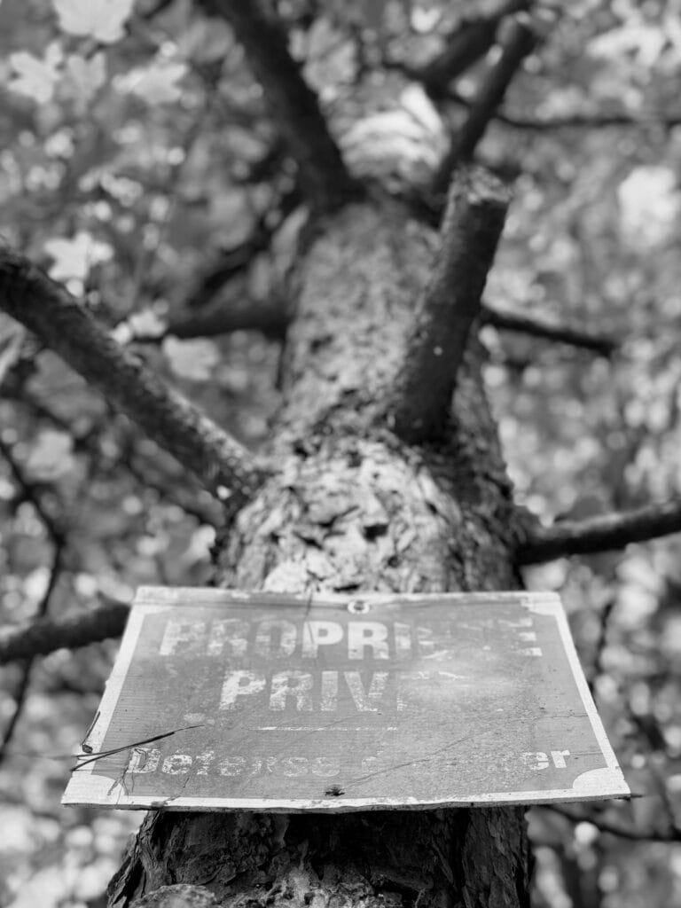 'Private property. No entry' sign on a tree, shot in low-angle.
