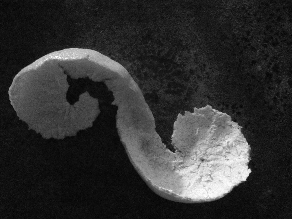 Clementine peel swirl on stove.