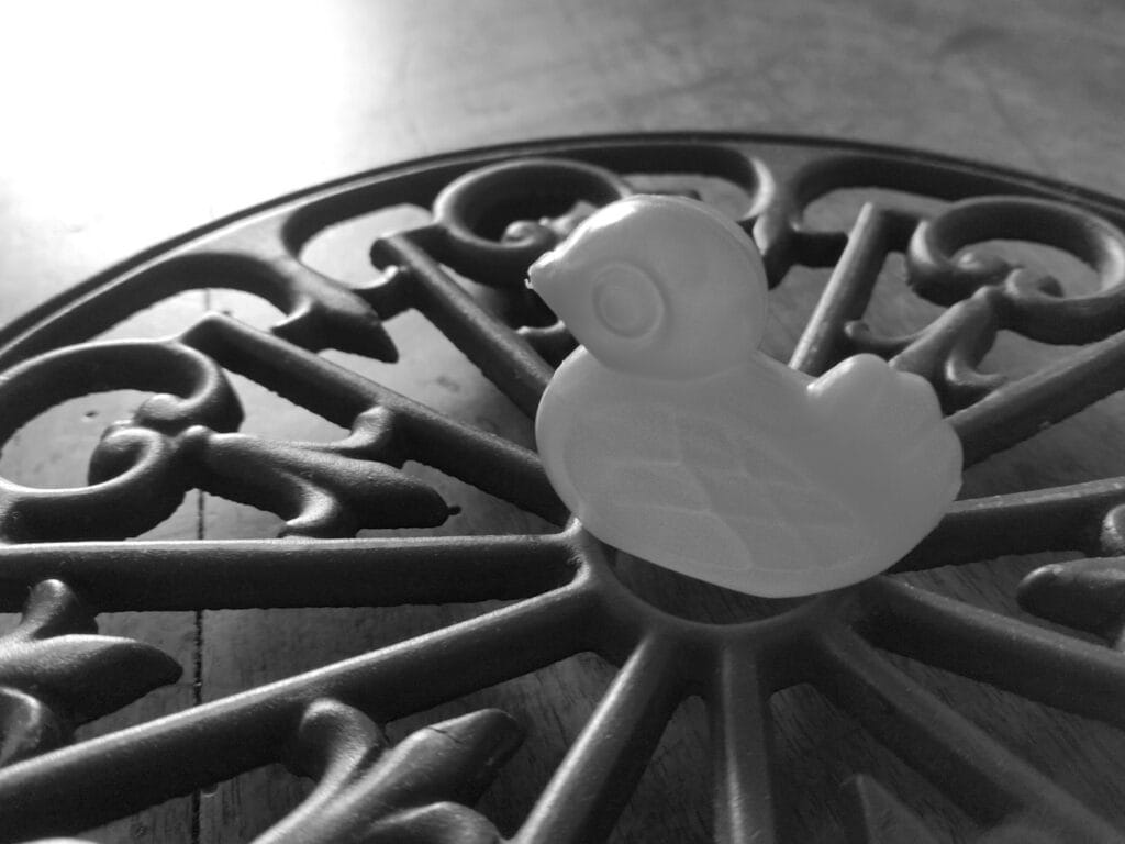 Plastic duckling.