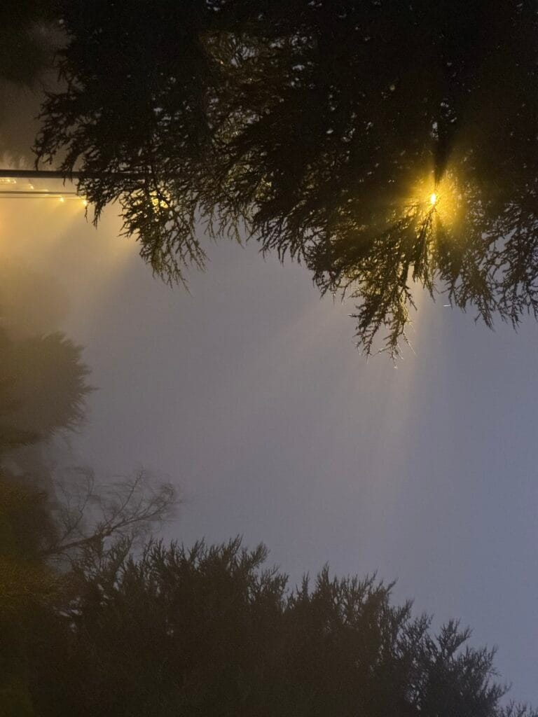 Lampposts wave at dusk.