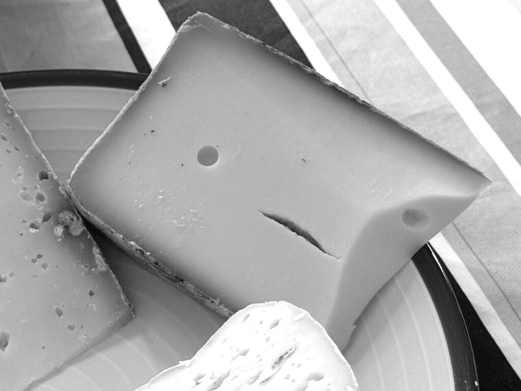 Plateau de fromages avec æn morceau de gruyère rectangulaire dotæ de deux trous-yeux et d’æn craquelure-bouche.