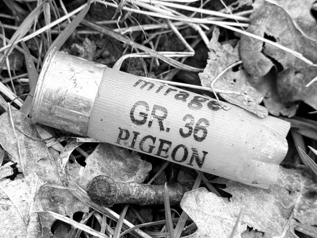 A cartridge case left on the ground by a hunter, bearing the words 'mirage - GR. 36 - PIGEON'.