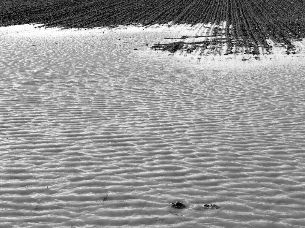 A large puddle ripples in a freshly sown field.