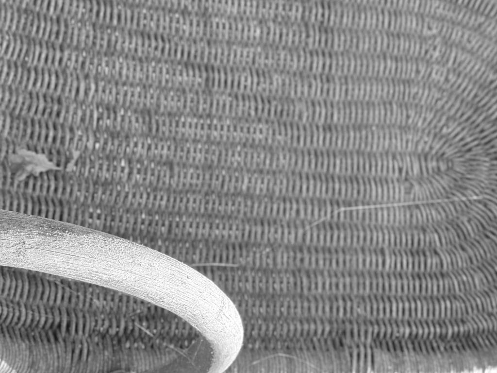 Détail d’æn chaise à bascule montrant æn partie dal dossier et æn accoudoir. L’image est basculæ de 90 degrés.