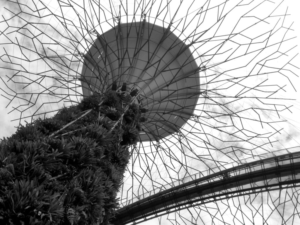 Low-angle view of one of the supertrees in the Supertree Grove at Gardens by the Bay.