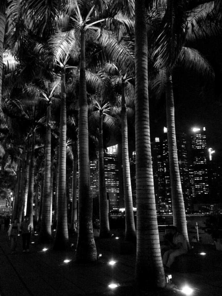 Marina Bay Waterfront Promenade, Singapore, by night.
