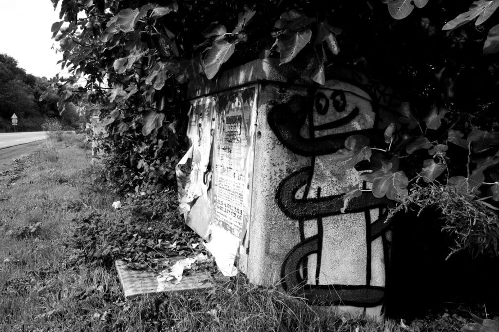 There is graffiti on an electric transformer under the foliage, depicting a figure gazing fondly at the snake coiling around him.