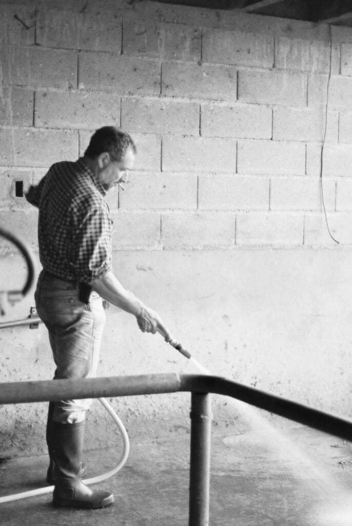 A farmer washes the floor with a hose after milking.