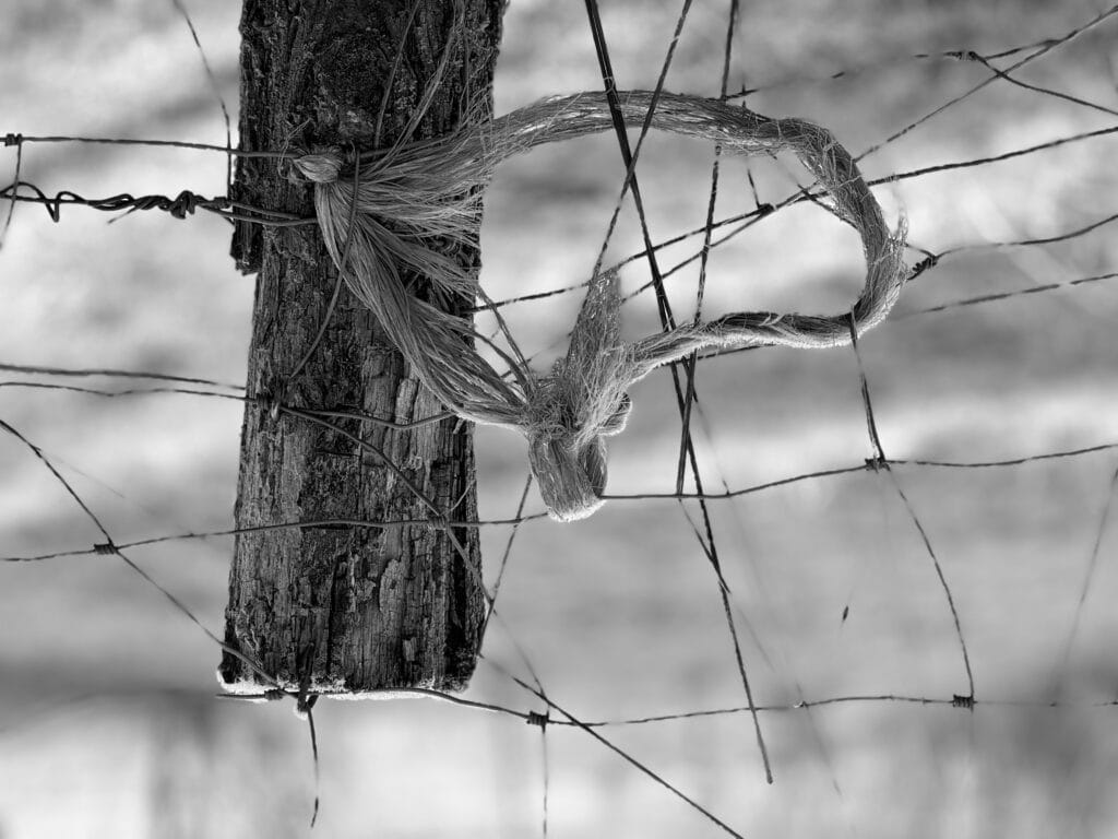 A piece of string has been wound and knotted onto the mesh of a fence.