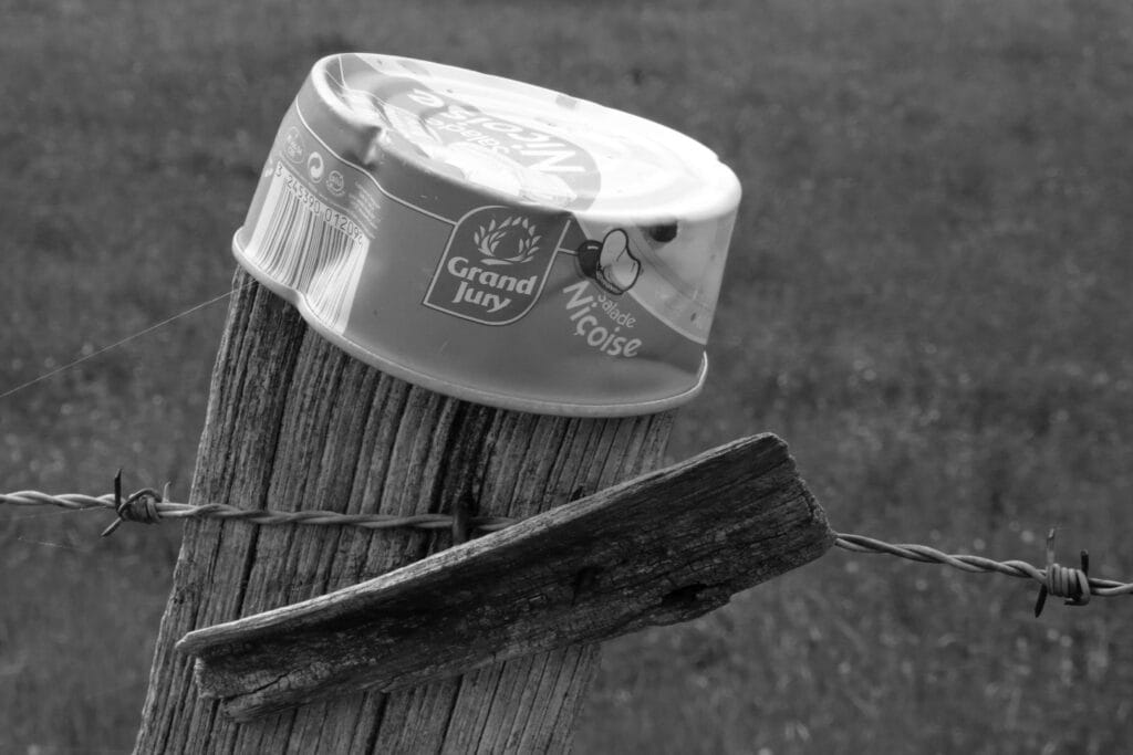 Fence post topped with a box of Niçoix salad.