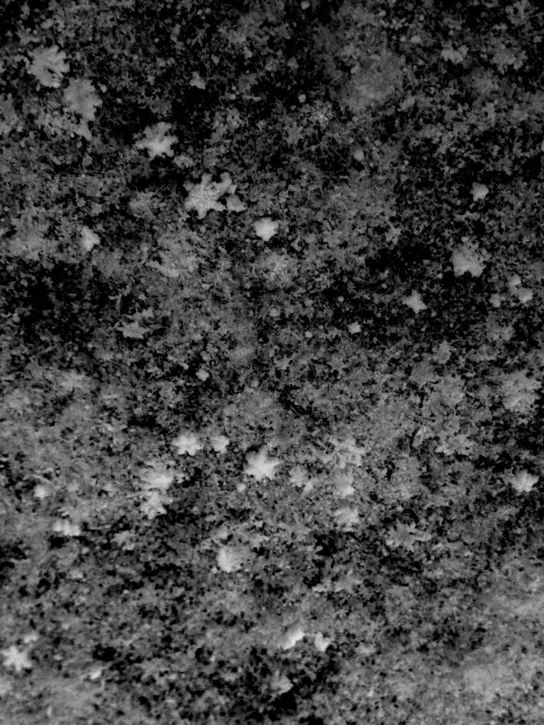 Snowflakes fall onto a black tarpaulin; some of them are star-shaped. Looks like a starry sky.