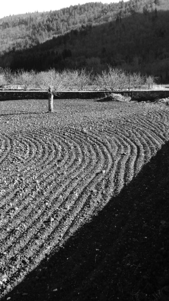 A freshly ploughed field in a valley that resembles a large Zen garden.