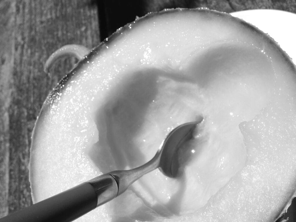 A half-eaten melon with glistening juice in the sun and a spoon stuck in it.