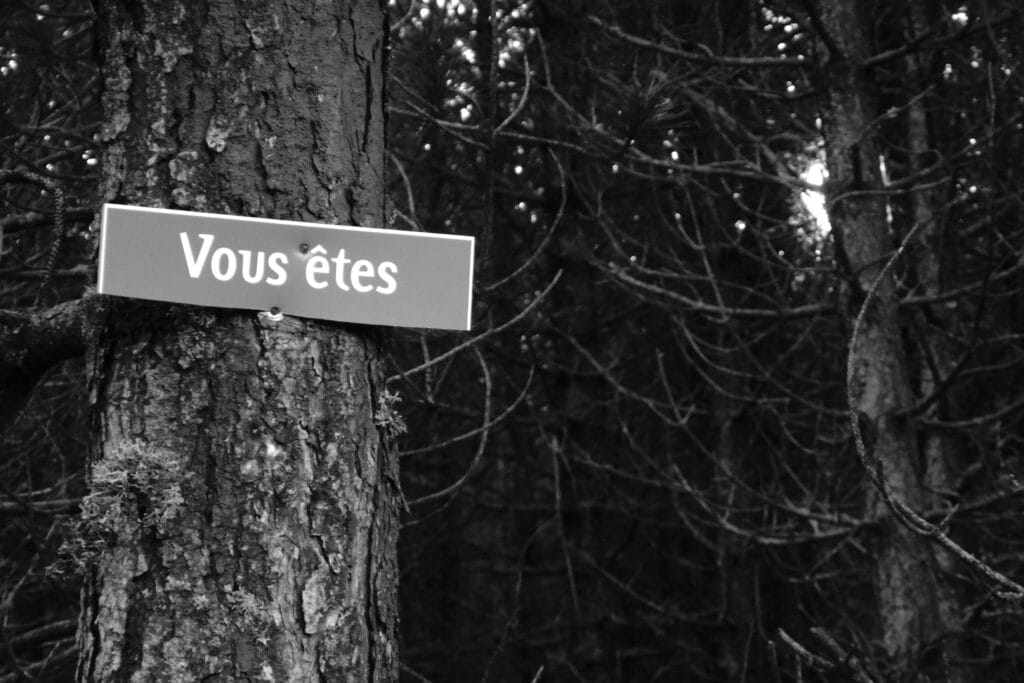 There is a sign on the trunk of a pine tree that reads 'You are'. The sign is broken and the rest is missing.