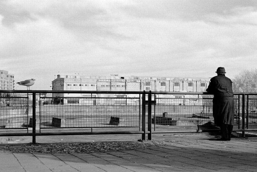 A seagull looks at a person in a hat and overcoat leaning against a railing, looking out over an empty basin along the St. Lawrence river.