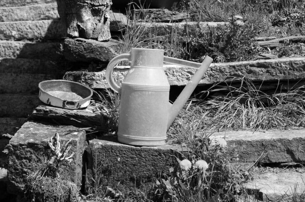 Watering can and container on a grassy staircase.