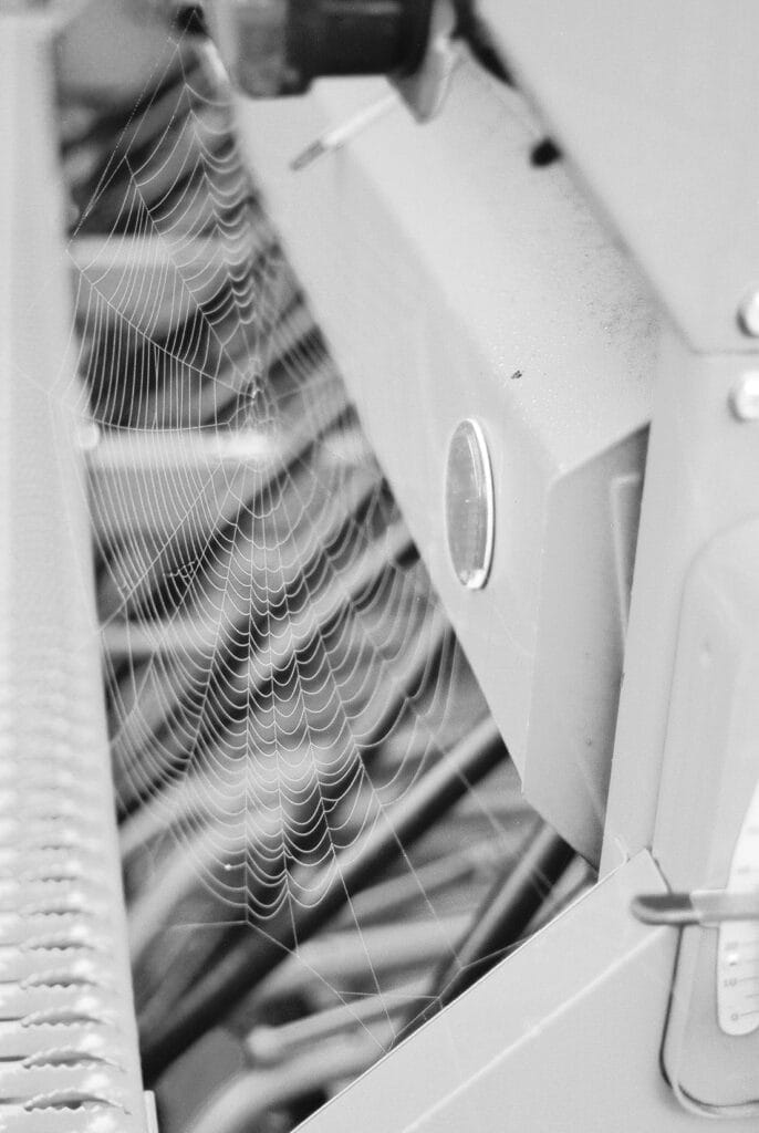 Beautiful spider web on a seed drill.