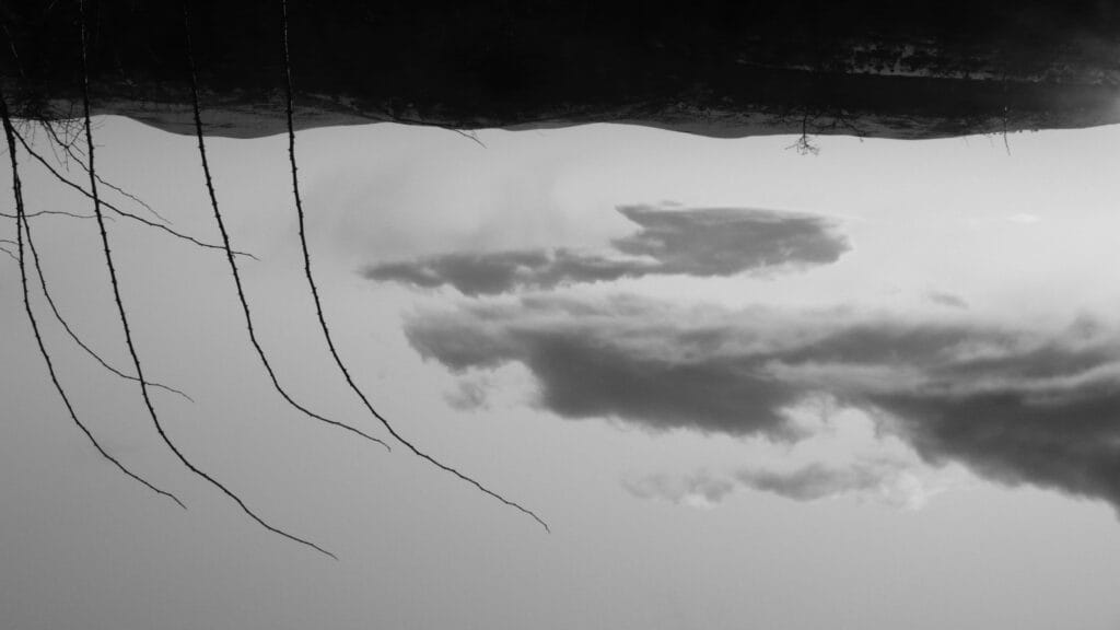 A plateau landscape with clouds in the sky that appear to be moving towards tall, curved thorn stems. The image is upside down.