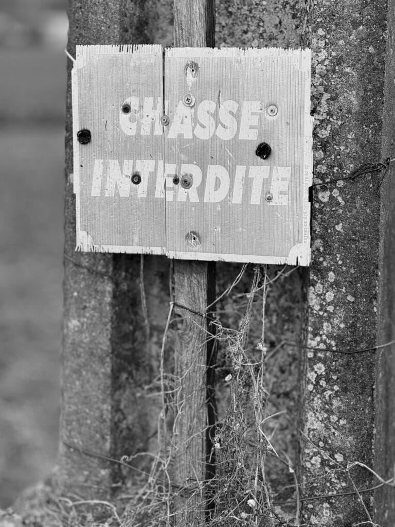 Close-up of a 'No Hunting' sign.