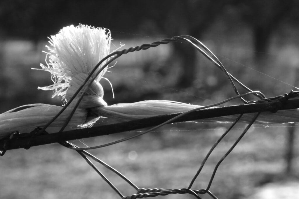 String tied on a fence, with a vertical knot that looks like a pony tail.