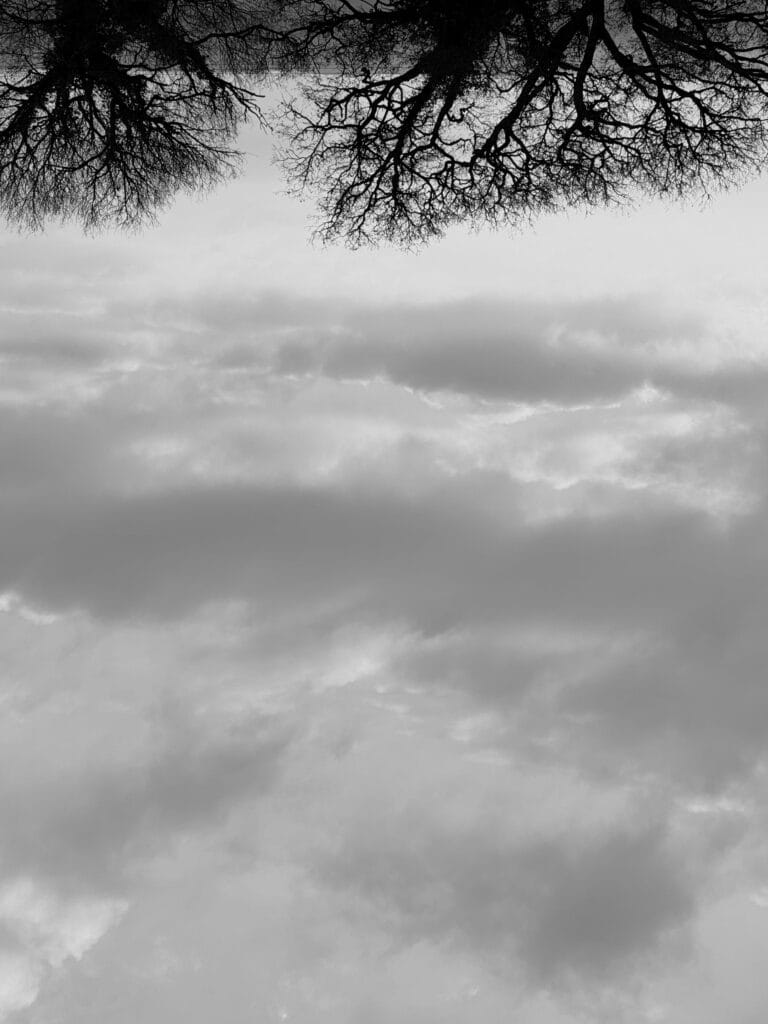 Forest and big cloudy sky. The image is upside down.