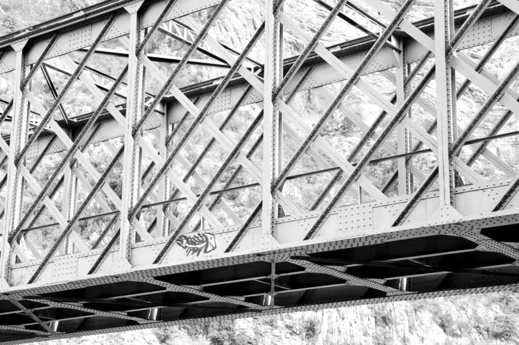 Fish graffiti on an iron railway bridge.