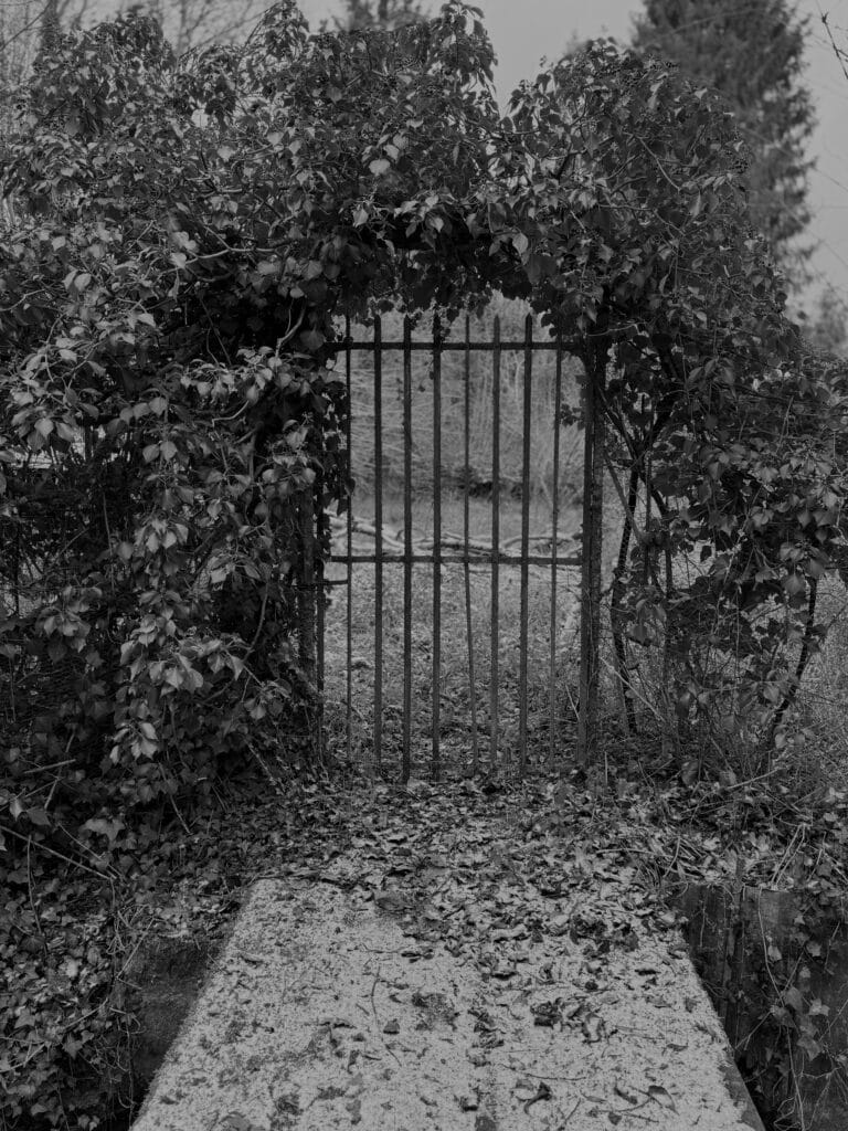 A rusty iron gate, surmounted by an arch of wild foliage, opens onto an overgrown garden.