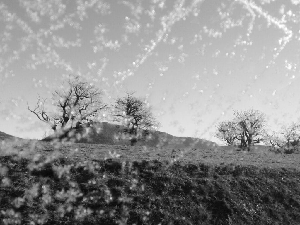 A landscape of small mountains covered in bare trees is seen through a frost-decorated window.