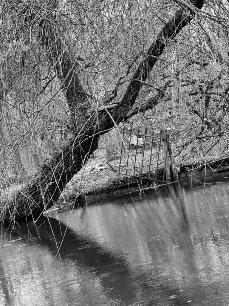 Landscape with a slanted horizon, featuring a slanted tree, its slanted reflection in a slanted stream, and a slanted gate.