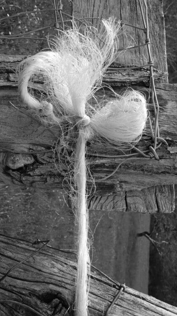 Another pretty knot on a fence, with the string stretched vertically.