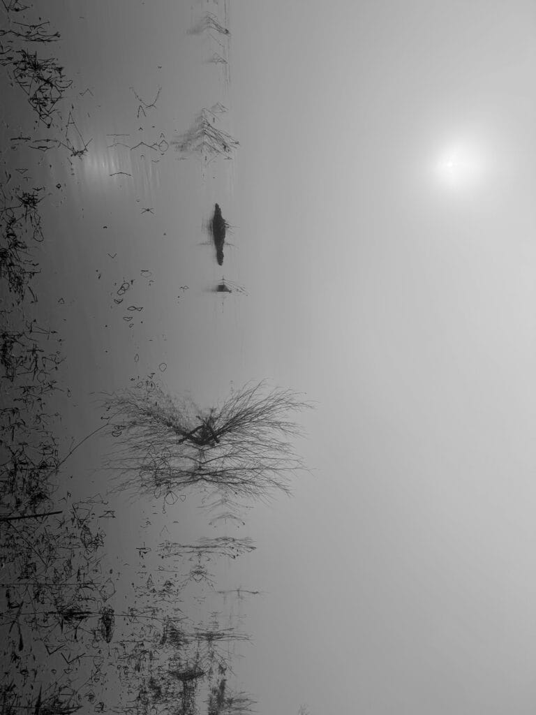 Details of small grasses in the water near the riverbank and their reflections in the sunlight lost in the mist.