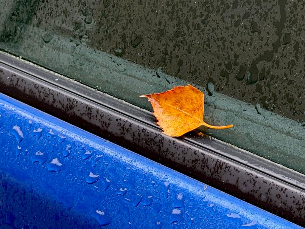 Close-up of a blue car door wet with raindrops. A birch leaf in autumn colours has landed on the window.