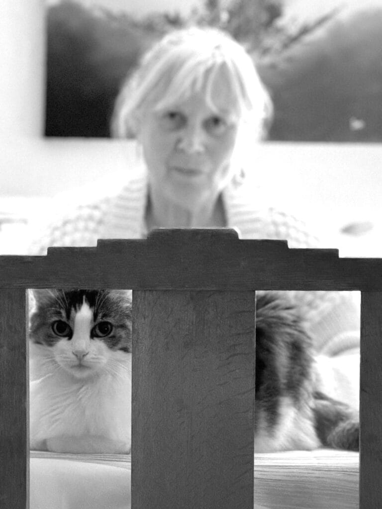 Portrait of a cat framed by the back of a chair, with er human behind.