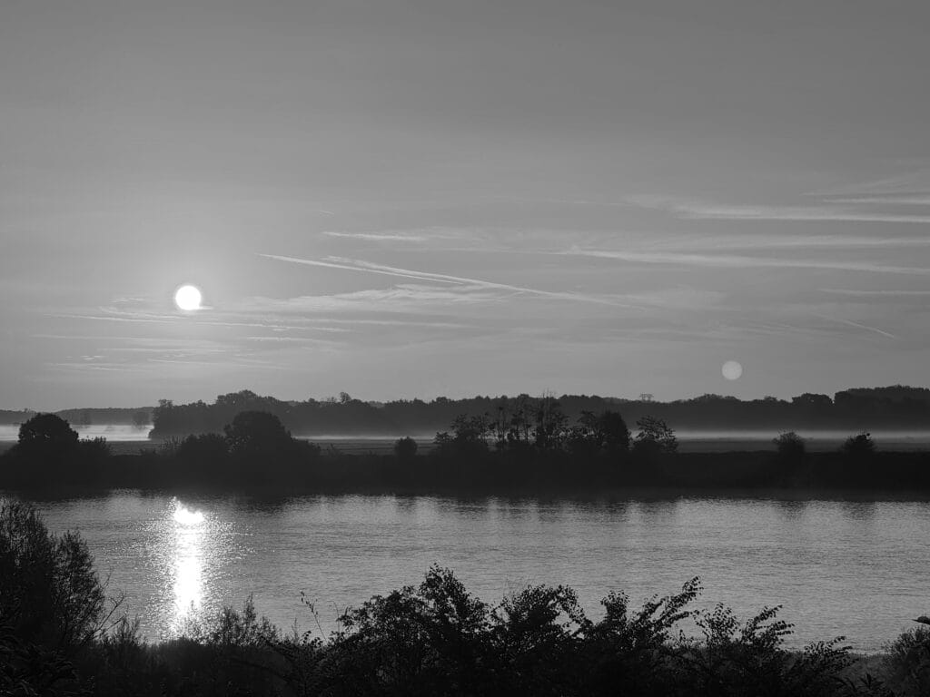 View of a body of water at sunrise, with different layers of vegetation and mist.