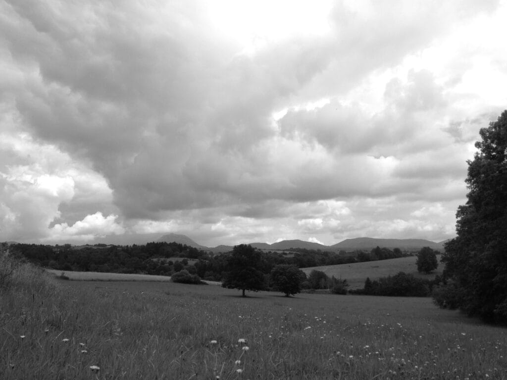 A bucolic landscape of rolling meadows in bloom, with pretty trees and a beautiful cloudy sky.