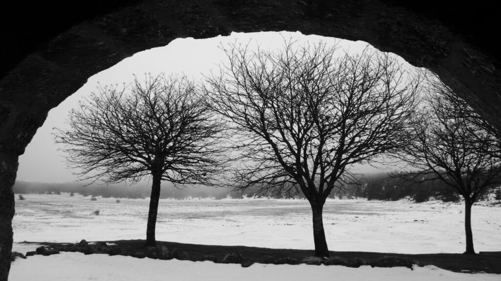 An austere landscape: a view of bare trees on the banks of a snowy pond in the fog and dim winter light. The scene is framed by the dark stone archway of the shelter from which the photograph was taken.